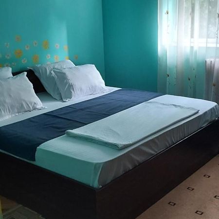 Ferienwohnung Apartament Gara Mica Arad Exterior foto
