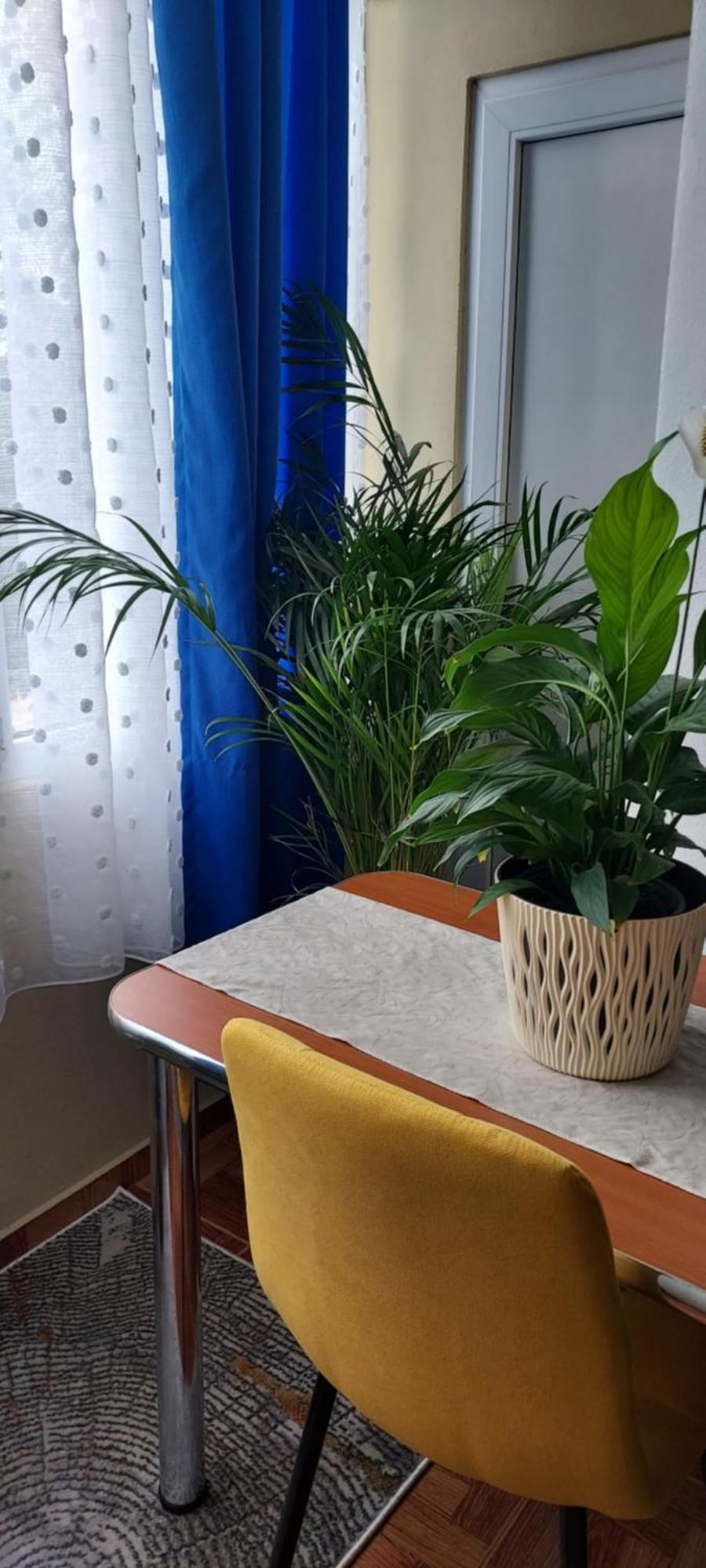 Ferienwohnung Apartament Gara Mica Arad Exterior foto